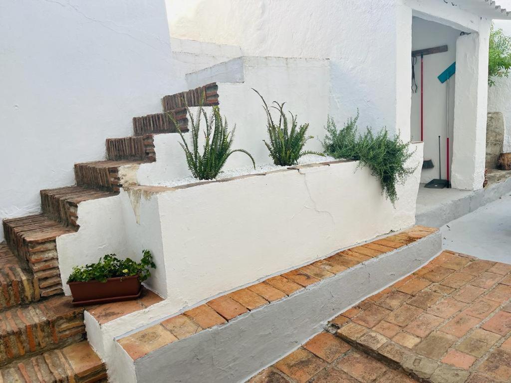 Casa Rural Dona Catalina Jimena De La Frontera Exterior photo